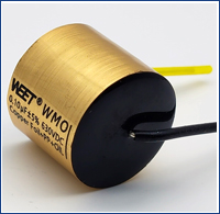 WEET WMO 0.1uF 630V Cross Audionote Copper Foil in Oil Capacitor